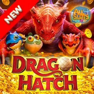 Dragon Hatch New